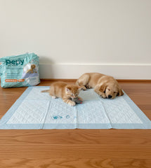 Hijyenik Tuvalet Eğitim Pedi 60*90 30lu 2Paket